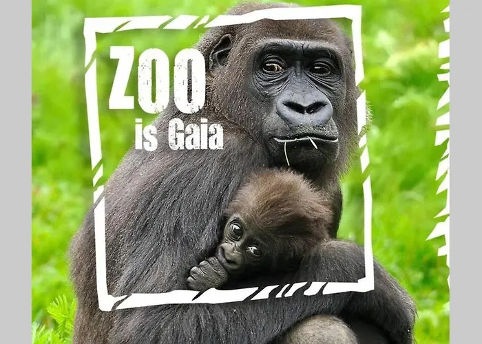 Apartment Tower Centre